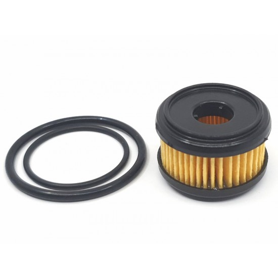 Filtru GPL Valtek, Prins, Milano, Zavoli, OMVL cu garnituri