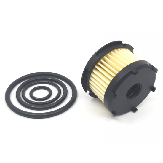 Set filtre GPL BRC  (an < 2015)