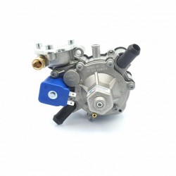 Vaporizator GPL Tomasetto Nordic AT09 XP (245 CP)