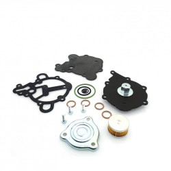 Kit revizie vaporizator Tomasetto Alaska AT09 (original) Kit revizie vaporizator Tomasetto Alaska AT09 (original)