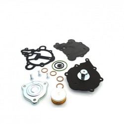 Kit revizie vaporizator Tomasetto Alaska AT09 (original)