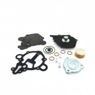 Kit revizie vaporizator Tomasetto Alaska AT09 (original)