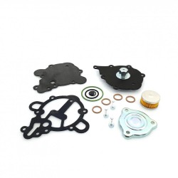 Kit revizie vaporizator Tomasetto Alaska AT09 (original) Kit revizie vaporizator Tomasetto Alaska AT09 (original)