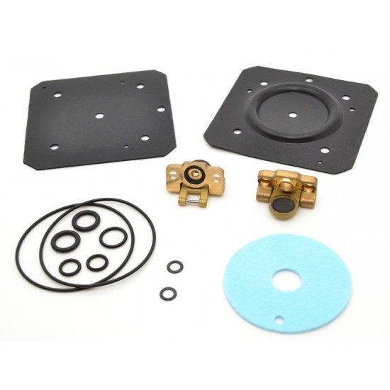 Membrane Landi Renzo IG 1 Membrane Landi Renzo IG 1