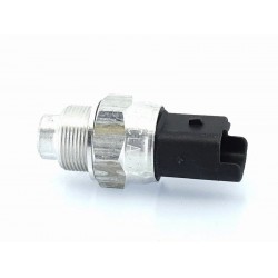 Senzor temperatura si presiune BRC (Daewoo) Senzor temperatura si presiune BRC (Daewoo)