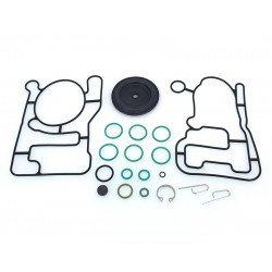 Kit revizie vaporizator BRC Genius Max MY14 (original)