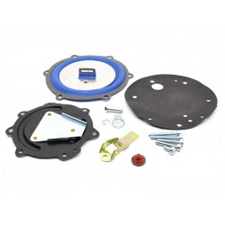 Kit revizie vaporizator Impco Cobra (original)