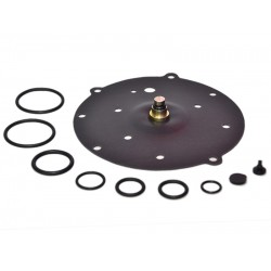 Kit revizie vaporizator AG SGI/GFI (compatibil)