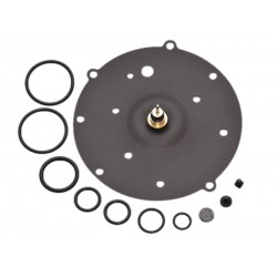 Kit revizie vaporizator AG SGI/GFI (compatibil)