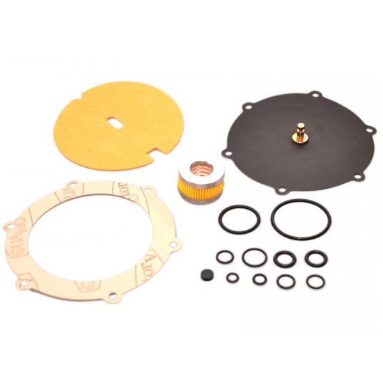 Mmebrane Landi Renzo LI10 (compatibil) Mmebrane Landi Renzo LI10 (compatibil)