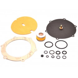 Kit revizie vaporizator Landi Renzo LI10 (compatibil)