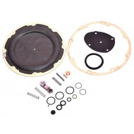 Kit revizie vaporizator Landi Renzo SE81 (original)