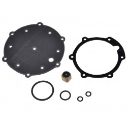 Kit revizie vaporizator BRC Genius 800-1200 (compatibil)