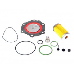 Kit revizie vaporizator Lovato RGJ tip B (original)