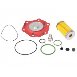 Kit revizie vaporizator Lovato RGJ tip B (original)