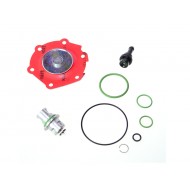 Kit revizie vaporizator Lovato RGJ 3.2 tip B (original)