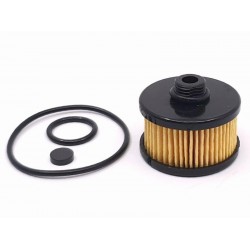 Filtru GPL Romano (Original cu garnituri)