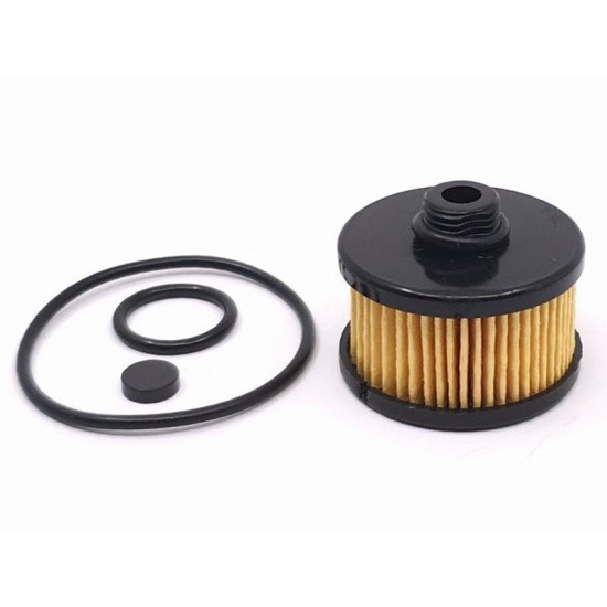 Kit revizie filtru electrovalva GPL Romano