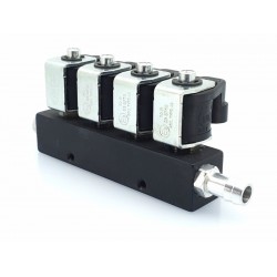 Rampă injectoare Rail IG1 (3 ohmi - 4 cilindri) Rampă injectoare Rail IG1 (3 ohmi - 4 cilindri)