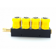 Rampă injectoare Valtek tip 30 (1 ohm - 4 cilindri)
