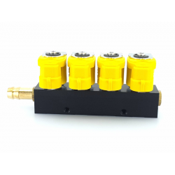 Rampă injectoare Valtek tip 30 (1 ohm - 4 cilindri)