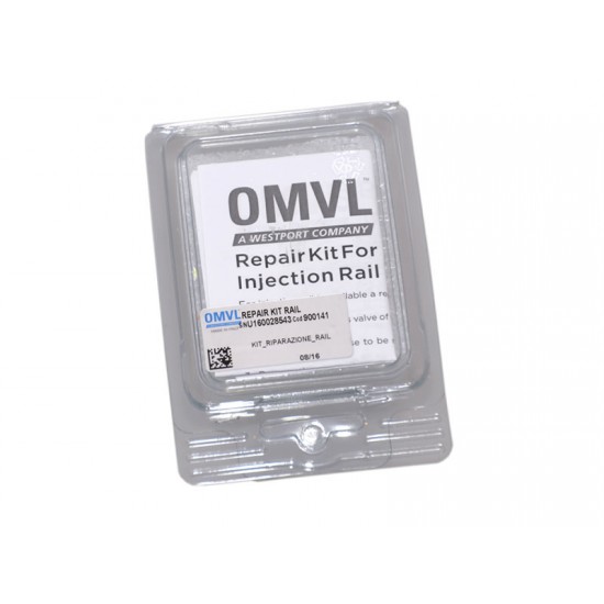 Set reparatie rampa OMVL Dream XXI / Valtek tip 32