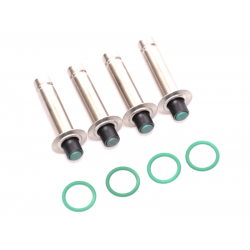 Kit revizie injectoare OMVL Dream XXI / Valtek tip 32 Kit revizie injectoare OMVL Dream XXI / Valtek tip 32