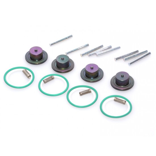 Set reparatie rampa MED Eco Evo