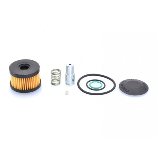 Kit revizie filtru BRC ET98 model vechi Kit revizie filtru BRC ET98 model vechi