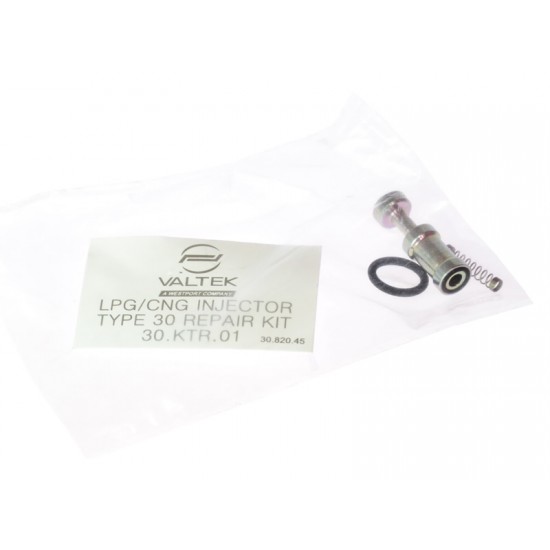 Kit revizie injector Valtek, Rail Kit revizie injector Valtek, Rail