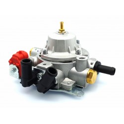 Vaporizator OMVL / Valtek CPR tip 66 (150 CP) Vaporizator OMVL / Valtek CPR tip 66 (150 CP)