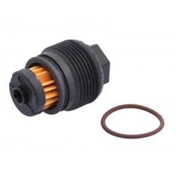 Filtru GPL Valtek tip 08 (cu garnituri)