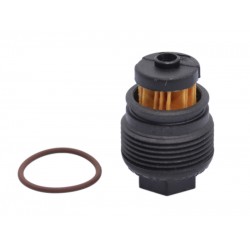 Filtru GPL Valtek tip 08 (cu garnituri)