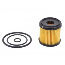 Filtru GPL Tartarini tip 08G (Original cu garnituri)