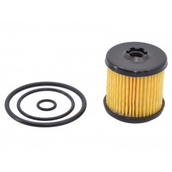 Filtru GPL Tartarini tip 08G (Original cu garnituri)