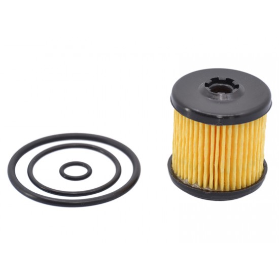 Filtru gaz Tartarini 08G Filtru gaz Tartarini 08G