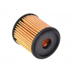 Filtru GPL Tartarini tip 08G 