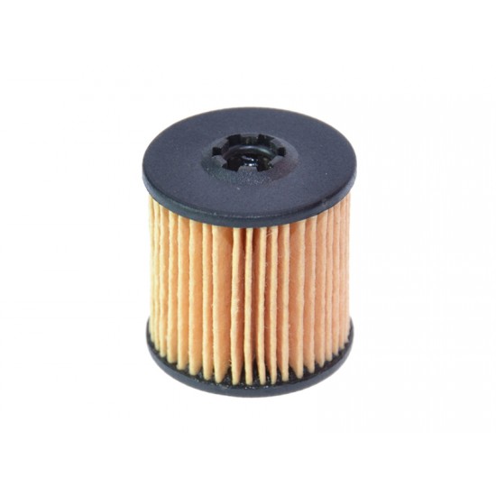 Filtru gaz Tartarini tip 08G Filtru gaz Tartarini tip 08G
