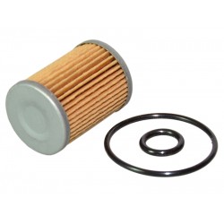 Element filtrant pt. filtru Tartarini FGM03 (cu garnituri) Element filtrant pt. filtru Tartarini FGM03 (cu garnituri)