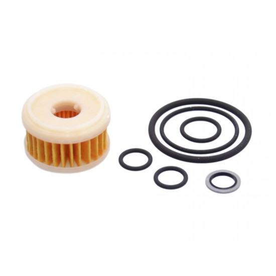 Filtru GPL Valtek, Prins, Milano, Zavoli, Emma Gas, OMVL original Filtru GPL Valtek, Prins, Milano, Zavoli, Emma Gas, OMVL original