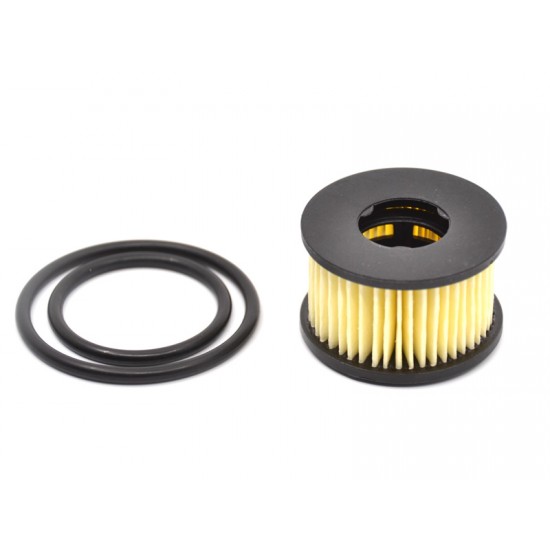 Filtre GPL Landi Renzo Dacia de fabrică 1,2-1,6 - an >2012 (aftermarket) Filtre GPL Landi Renzo Dacia de fabrică 1,2-1,6 - an >2012 (aftermarket)