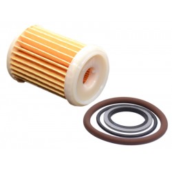 Filtru GPL Valtek tip 07 (cu garnituri)