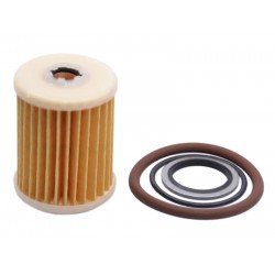 Filtru GPL Valtek tip 07 (cu garnituri)