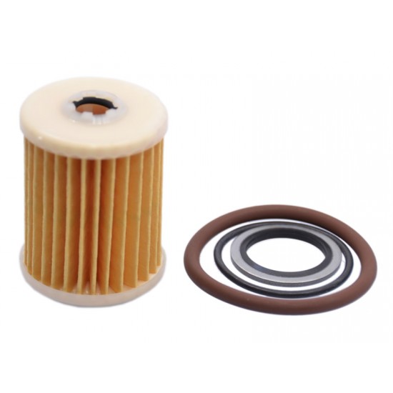 Filtru GPL Valtek Tip 07