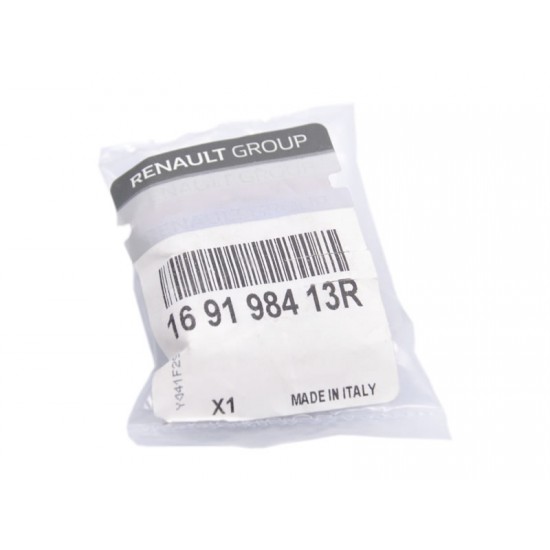 Filtru GPL Landi Renzo pt. reductor LI10 - Renault 169198413R Filtru GPL Landi Renzo pt. reductor LI10 - Renault 169198413R