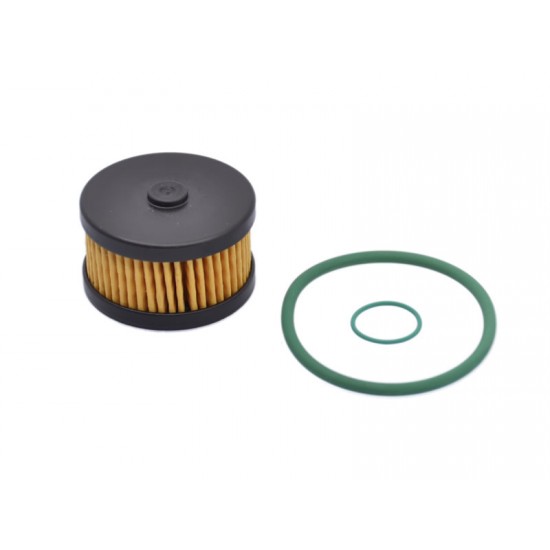 Filtru GPL Landi Renzo pt. reductor LI10 - Renault 169198413R Filtru GPL Landi Renzo pt. reductor LI10 - Renault 169198413R