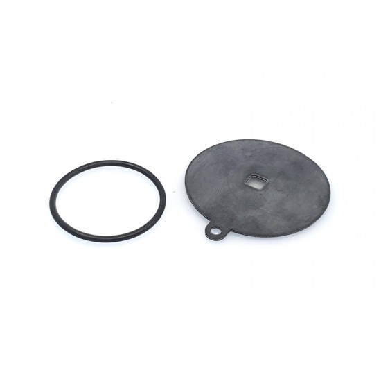 Membrane reductor REG / OMVL CPR, Valtek tip 66 (original) Membrane reductor REG / OMVL CPR, Valtek tip 66 (original)