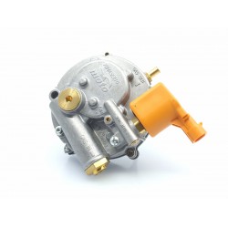 Vaporizator GPL Tomasetto AT10 (20 CP) Moto Vaporizator GPL Tomasetto AT10 (20 CP) Moto