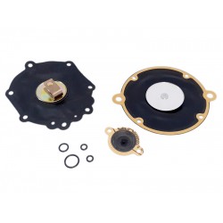 Kit revizie vaporizator Aisan SS (original)