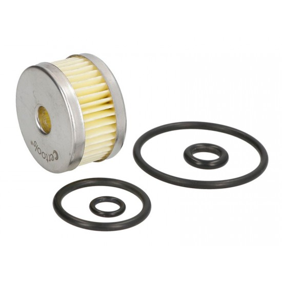 KIT REVIZIE FILTRU GPL ELECTROVALVA TOMASETTO (model vechi) KIT REVIZIE FILTRU GPL ELECTROVALVA TOMASETTO (model vechi)